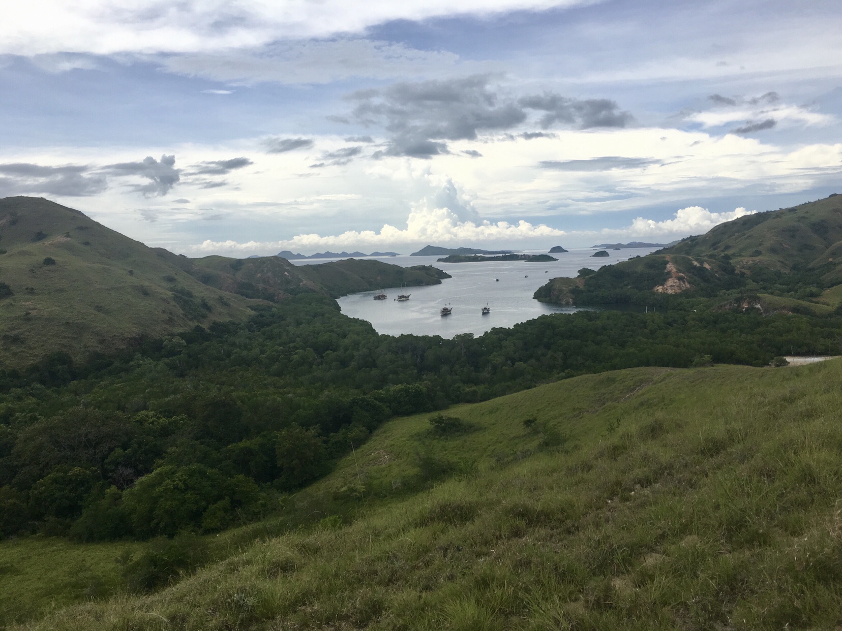 A Day Spent with Dragons in Indonesia’s Komodo National Park